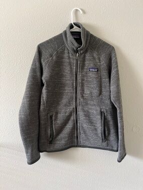 Patagonia Heather Gray Full-Zip sweater Jacket XS